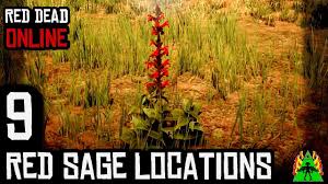 For red dead redemption 2 on the playstation 4, a gamefaqs q&a question titled how do i complete. Red Dead Redemption 2 Recipes With Sage