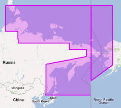 Mapmedia Jeppesen Vector Megawide Russian Federation North East