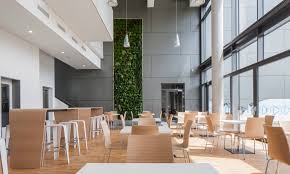 Vor 2 jahren · yvonne. Vertikaler Garten Oder Living Wall Traum Buro Im Grunen Leonhards