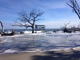 Maybe you would like to learn more about one of these? Last Cabin Standing At Hunting Island Coming Down Forever All The Best Of Beaufort Sc Port Royal The Sea Islands