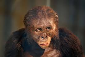 Avusturya'nın 'mumya bebeği'nin kimliği ve ölüm nedeni belirlendi