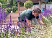 The Gardeners - Exceptional Garden Maintenance Services in Bristol ...