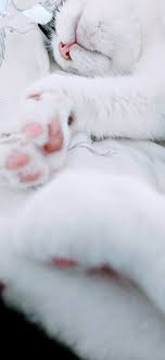 Nei miei giochi con i colori non potevo dimenticare il rosa.che è proprio il colore che mi identifica, il mio preferito e quello caratt. Best Pink Iphone X Wallpapers Hd 2020 Ilikewallpaper