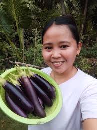 Eggplant brings flavor to life