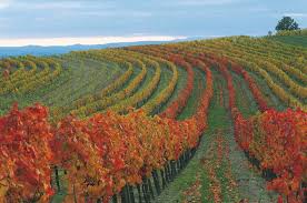 Burgenland is a state in austria, central europe. Burgenland Zimmer Mit Fruhstuck Und Ferienwohnungen Bei Privatvermietern