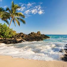 The best collection of wallpapers for your desktop and phone devices. Wallpapers From Xerox