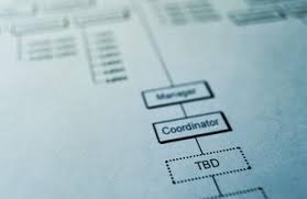 How To Create An Organizational Chart In Human Resources