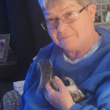 Missing Amazon Packages