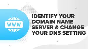 How To Identify Your Domain Name Server And Change Your Dns Settings Resellerclub Youtube