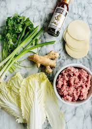 How To Make Pork Dumplings Recipe Pork Dumpling Dumpling Recipe Asian Dumpling Recipe