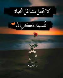 خواطر اسلامية بالصور Poster Movie Posters Petals