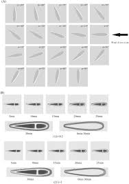 A review of the hoont ultrasonic pest repellent device. A Review On Ice Detection Technology And Ice Elimination Technology For Wind Turbine Wei 2020 Wind Energy Wiley Online Library