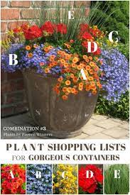 Plant Ideas For Beautiful Patio Containers Empress Of Dirt Patio Container Gardening Garden Containers Container Gardening Flowers