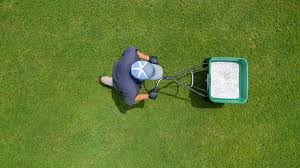 Powerful and easy to use. Watering Your Lawn After Fertilizing How Long To Wait How Long To Water