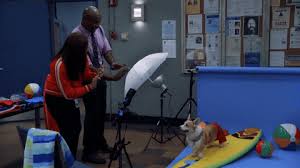 The most common cheddar brooklyn 99 material is ceramic. The Dog Who Played Cheddar On Brooklyn Nine Nine Has Died