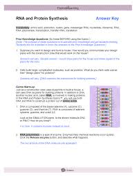 I use this gizmo as an introduction to the topic. 320610364 Rnaprotein Synthesis Se Key Studocu