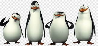Check spelling or type a new query. Penguin Madagascar Animation Madagascar Penguins Heroes Bird Png Pngegg