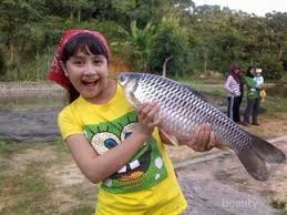 Video kali ini akan membahas comebacknya prilly latuconsina dan aliando syarief di sinetron terbaru rcti yang. Wow Begini Perubahan Wajah Prilly Latuconsina Dari Kecil Hingga Sekarang Menurut Kamu Gimana