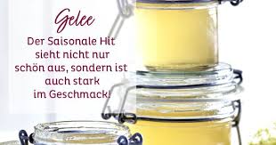 holunderbluten gelee rezept holunderbluten holunderbluten gelee holunderbluten rezepte