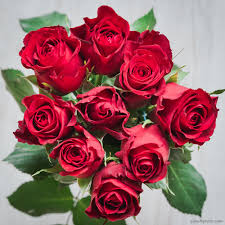 Check spelling or type a new query. Red Roses Bouquet Birthday Image