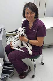All pets medical & surgical center has been servings the communities of diamond bar, walnut, and beyond for over 40 years. Team Vet In Bourne All Pets Medical Center