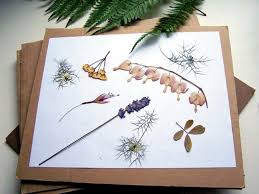 Dieser pinnwand folgen 267 nutzer auf pinterest. Herbarium Anlegen Tipps Techniken Zum Trocknen Der Blumen