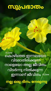 Pin By Gita Mathew On Malayalam Quotes Good Morning Wishes Good Morning Greetings Good Morning Quotes