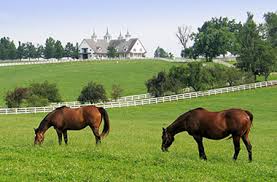 Maybe you would like to learn more about one of these? New Best Of Kentucky Experiences Visit Horse Farm And Bourbon Distillery