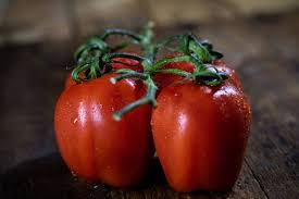 Image result for tomato Piccadilly