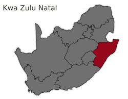 Image result for Orthochilus adenoglossus