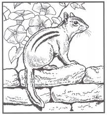We did not find results for: Backyard Animals And Nature Coloring Books Free Coloring Pages Nature Coloring Pages Coloring Pages Nature Coloring Books