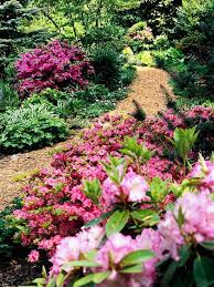 20 Shade Garden Design Ideas That Prove You Can Grow Colorful Plants Anywhere Shade Loving Shrubs Shade Garden Design Shade Garden