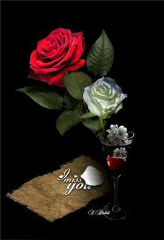 God Knows How Much I Love You And I Really Miss Our Talks Beautiful Roses Beautiful Flowers Love Rose