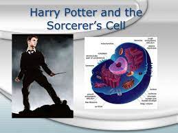 Maybe you would like to learn more about one of these? Bio Cell Project