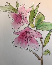 Aaron Copsey (aaroncopsey264)