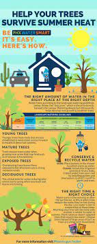 Proper Watering Can Keep Your Trees Healthy And Happy Even When It S Hot Outside Water Conservation Facts Water Facts Summer Survival