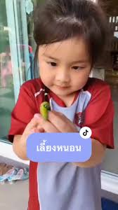 เลี้ยงหนอนผีเสื้อและการเปลี่ยนแปลงที่น่าทึ่ง