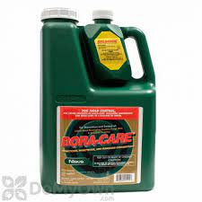 Bora Care With Mold Care Free Shipping Domyown Com