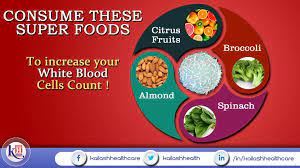 4 Super Foods To Increase Your White Blood Cells