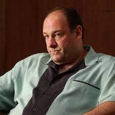 My new niche hobby is collecting screenshots of actors from the sopranos guest starring on sesame street. Tony Soprano Wikipedia