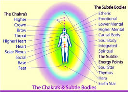 womb chakra lyme elixir