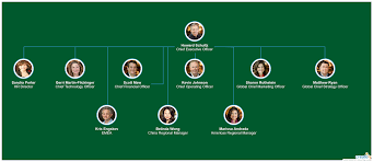 20 scientific starbucks organizational structure chart