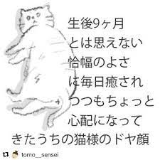 tomo sensei とのむらがインスタを更新しました 生後9ヶ月のうちの猫さま くらしにプラス マットラグ mat and rugfactory 猫 飼い猫 イラスト 絵日記 in 2020 instagram posts instagram historical figures