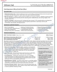 Operations Executive Cover Letter For Resume Executive Resume Resume