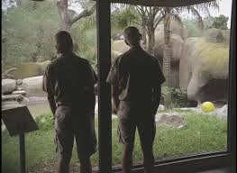 Wendy's — Mark Borcherding