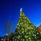 Annual Tree Lighting Ceremony event image