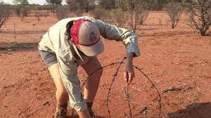 Barbed wire, also known as barb wire, occasionally corrupted as bobbed wire or bob wire, is a type of steel fencing wire constructed with sharp edges or points arranged at intervals along the strands. How To Make A N Ornamental Barb Wire Ball Part 1 Youtube