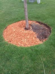 If you are like most people, you just don't have the time for fertilizing, weeding, lawn mowing and all that goes into creating a beautiful, well maintained lawn. Kmcrwjb4ocm2em