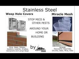 We met up with alan little, owner of tombstone. Do It Yourself Pest Control Diy Pestcontrol Mousecontrol Micecontrol Http Ridofmice Net Pest Control Best Pest Control Pests