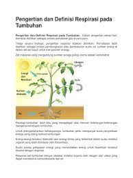Maybe you would like to learn more about one of these? Pengertian Dan Definisi Respirasi Pada Tumbuhan